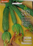 Zucchini COSTATES ROMANESCO
