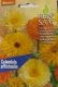Ringelblume, gelb-orange (Calendula officinalis)