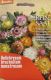 Strohblume, niedrige (Helichrysum bracteatum)