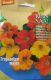 Kapuzinerkresse (Tropaeolum majus)