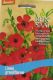 Roter Lein (Linum grandiflorum)