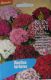 Bartnelke (Dianthus barbatus)